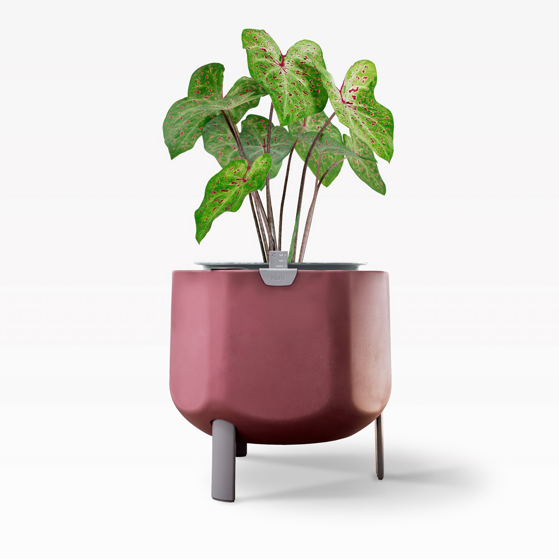 terra cotta self watering planter Smaller, Earthy Terracotta Self-Watering Planter – Marly Garden