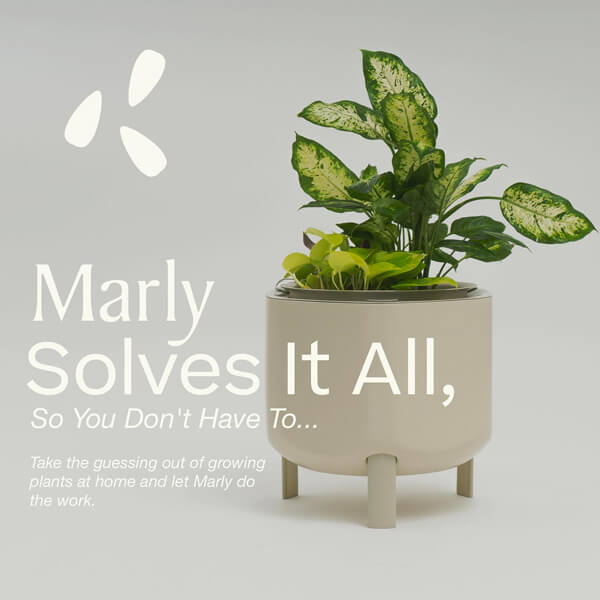 marly garden house plant pots social