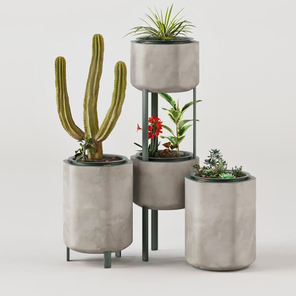 marly garden house plant pots social